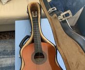 Vicente Sanchis rosewood guitar
 - Image