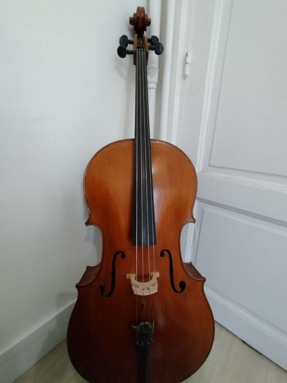 Violoncelle à vendre - Imagen por defecto