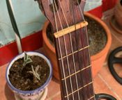 Andrés Marín classical guitar
 - Image