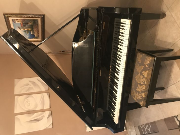 Piano de cola Tchaika..2000€ .BAJADA precio 500€ - Imagen por defecto