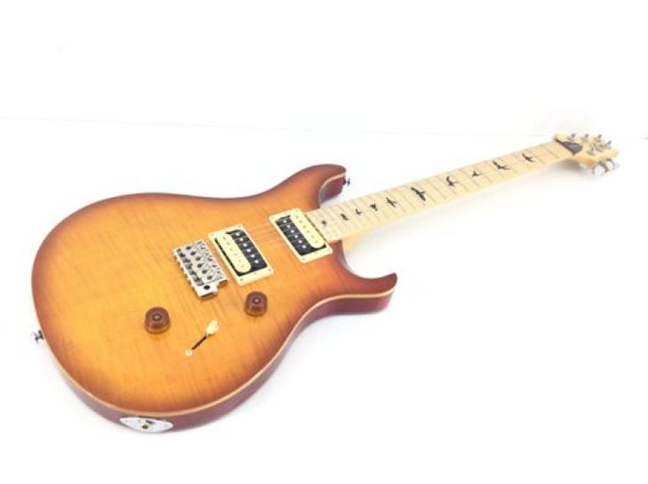 PRS SE Custom - Image principale de l'annonce