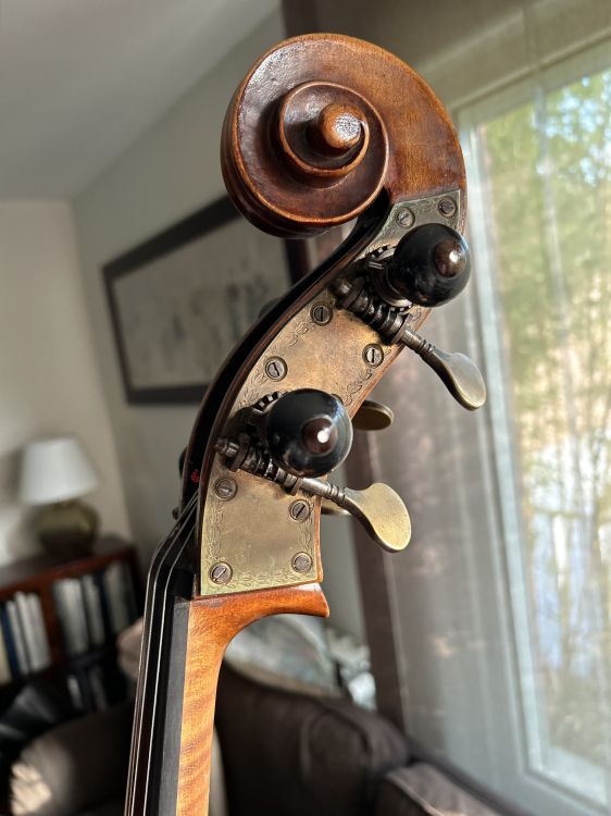 Vendo Violonchelo 4/4 - Immagine2