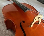 I am selling a professional cello
 - Image