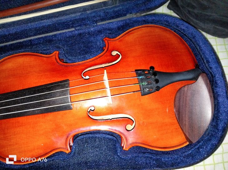 Violín innsbruck de Alpi 3/4 - Image2