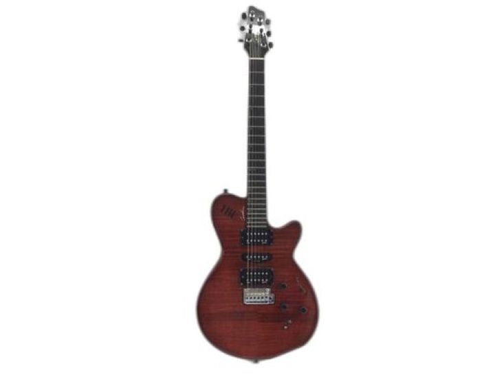 Godin XTSA - Image principale de l'annonce