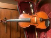 Viola - Immagine