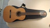Guitarra Alhambra - Muro de Alchoy - Mod 3C - Immagine