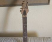 Herman Li Signature Electric Guitar (Ibanez)
 - Image