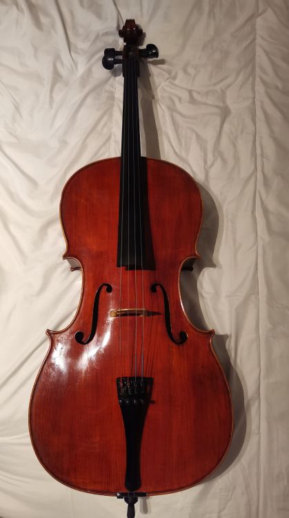 Violonchelo Emmanuel Berberian 4/4 - Immagine3