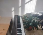 piano cassé
 - Image