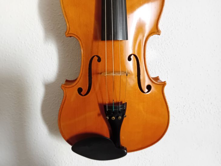 Vendo Viola Profesional Jay Haide - Imagen5