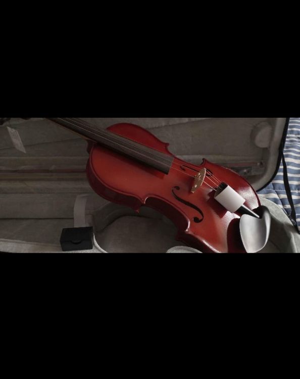 Violin Gewa 4/4 - Imagen2