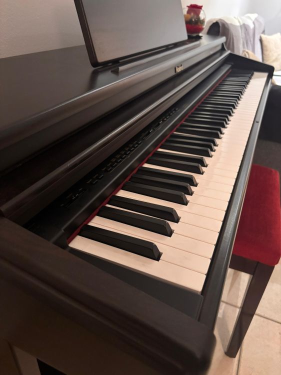 Roland HP 237Re - Imagen5