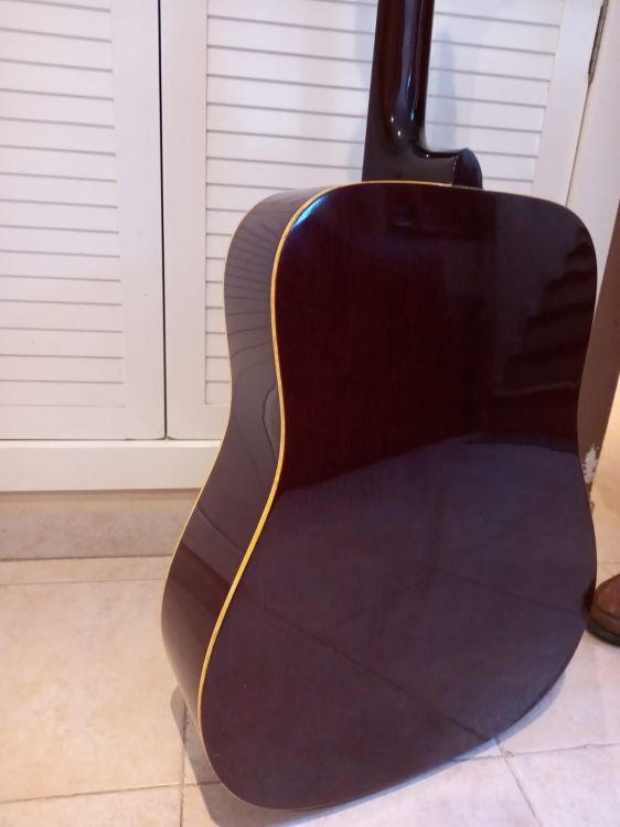 Ibanez Concorde mod. 647 - Immagine5