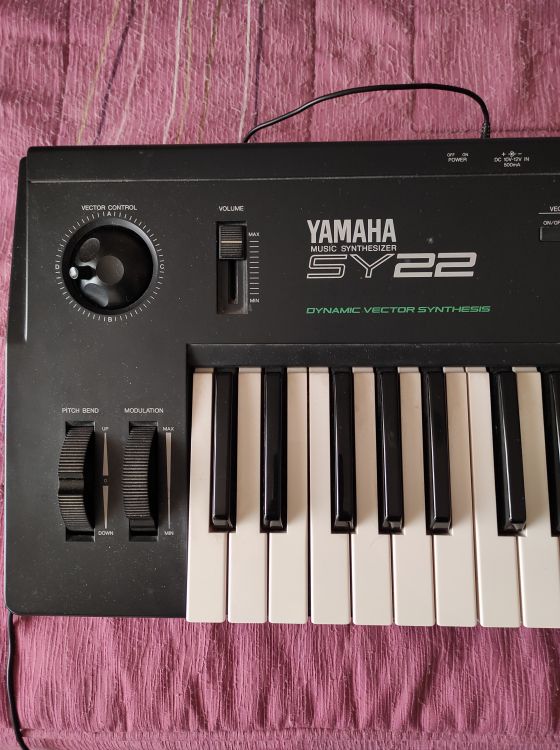 Sintetizador Yamaha y amplificador Roland - Imagen2