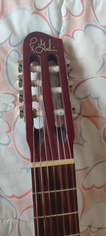 Guitarra Godin 7 cuerdas - Bild2