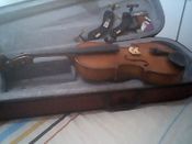 Viola 15" - Immagine