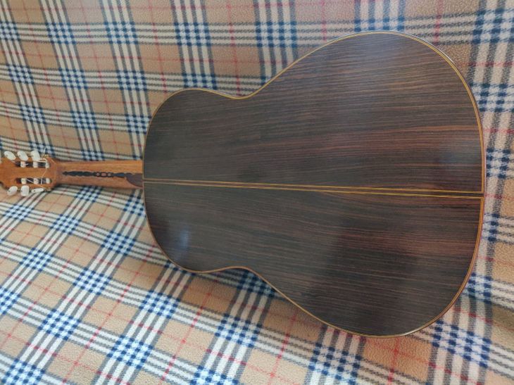 Guitarra Pedregosa | 1981 - Imagen3