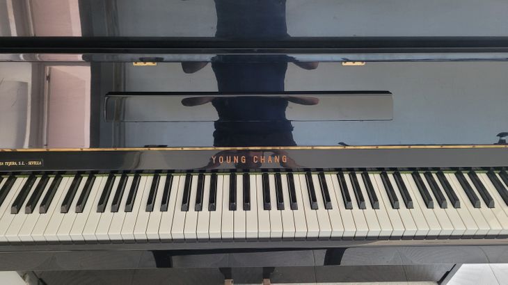 Piano vertical Young Chang ec 109 - Imagen3