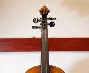 Violin 4/4 - Bild