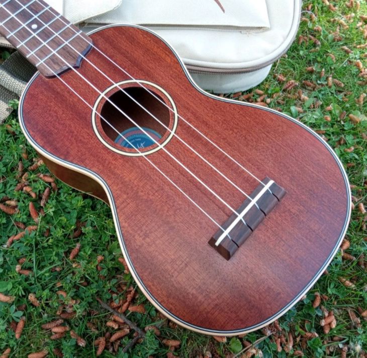 Ukelele soprano caoba maciza Flight MUS 2 - Immagine4