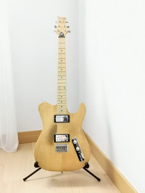 Framus Renegade Pro edición especial 2008 - Imagen por defecto