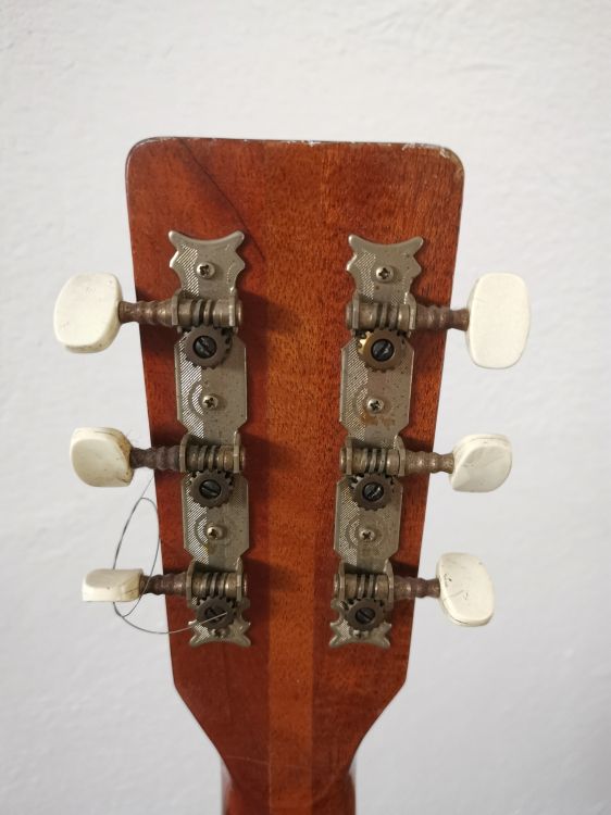 Melody Guitars mod 800 - Imagen4