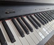 Yamaha Clavinova CLP 311
 - Image