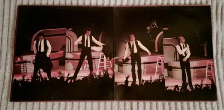 Julio Iglesias Doble vinilo 12" In concert - Image2