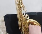 very good alto saxophone!
 - Image
