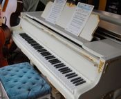 Pianoforte a coda Shimmel 150 E
 - Immagine