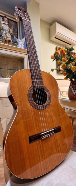 ¡OFERTA!   ¡Guitarra Jose Torres! JTC-5 - Image2
