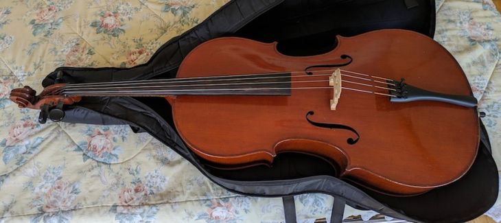 Cello mit Fall, ca. 100 Jahre alt - Immagine2