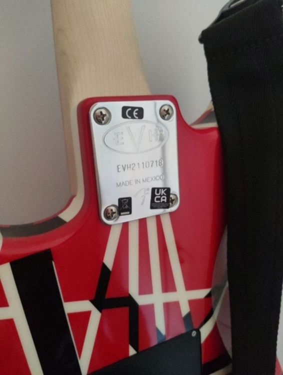 EVH Striped Series RWB - Immagine3