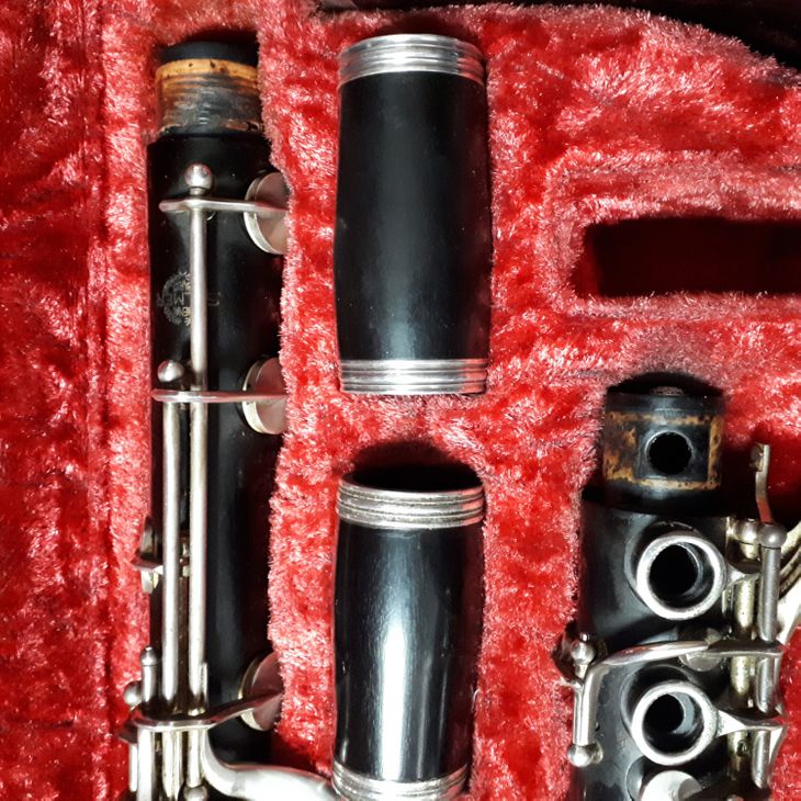 Clarinetto Sib Selmer paris 21Ch - Immagine2