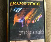 Gwendal in concerto
 - Immagine