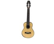 Flight voyager concerted eq-a - Bild