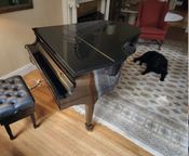 Steinway and sons model M 5’7” - Image