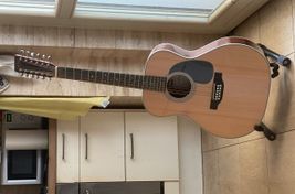 12-string unusual - Image