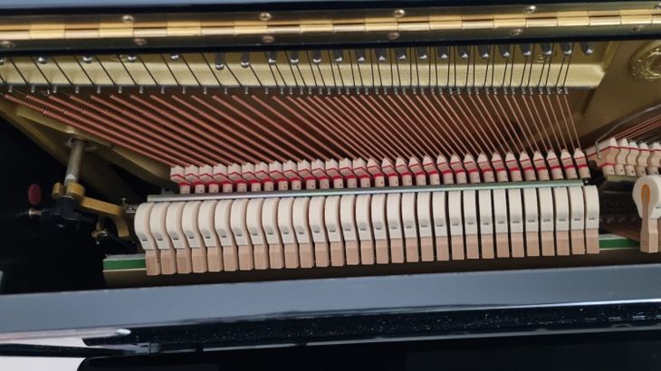 Pianoforte U5 AS Silent - Bild2