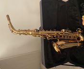 alto saxophone
 - Image