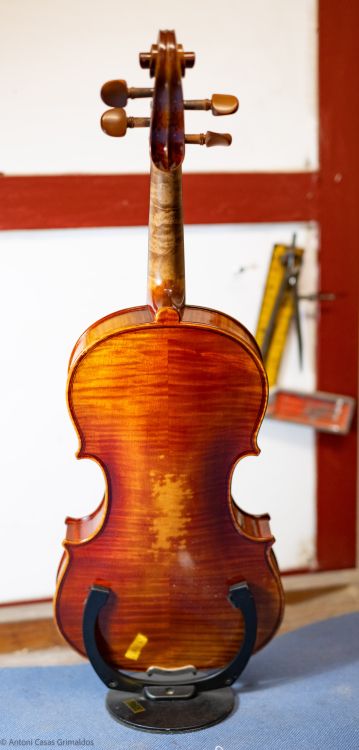 Violin Heritage - Imagen2