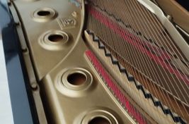 STEINWAY & SONS D - Imagen