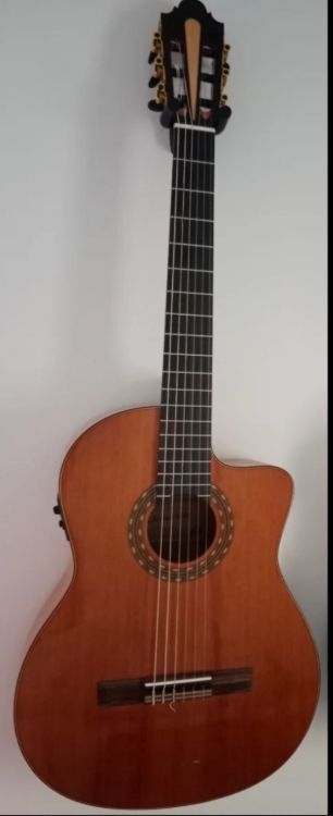Guitarra de alta gama - Imagen por defecto