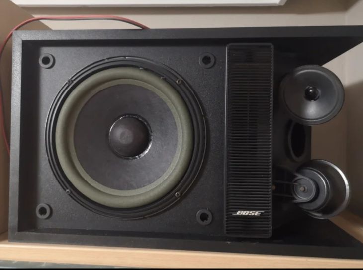 Altavoces Bose 301 Serie II en Zaragoza - Immagine3