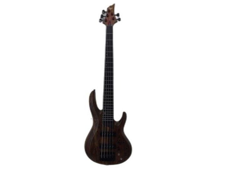 LTD ESP b-1005 - Image principale de l'annonce