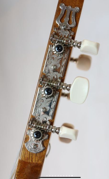 OPORTUNIDAD!! Guitarra Jose Torres JTC-5 - Imagen5