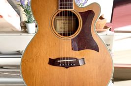 Tanglewood TW45 Sundance - Imagen