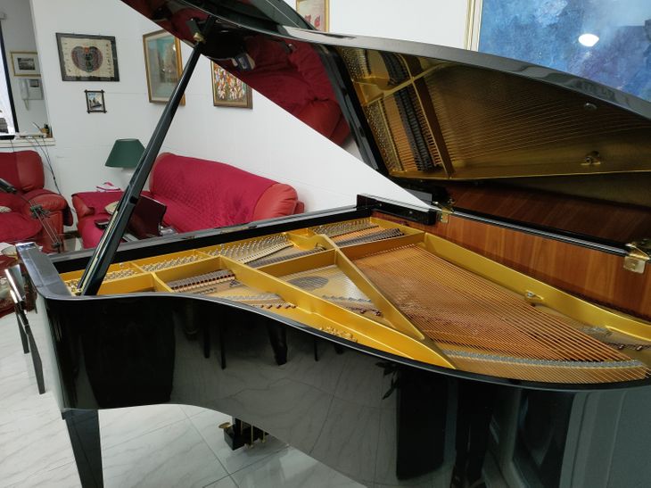 PIANOFORTE A CODA SCHIMMEL C 174 T - Imagen4