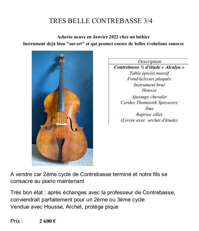 Très belle contrebasse 3/4 acoustique Alcalya - Imagen3